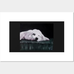 Charlie the Dog Sleeping Posters and Art